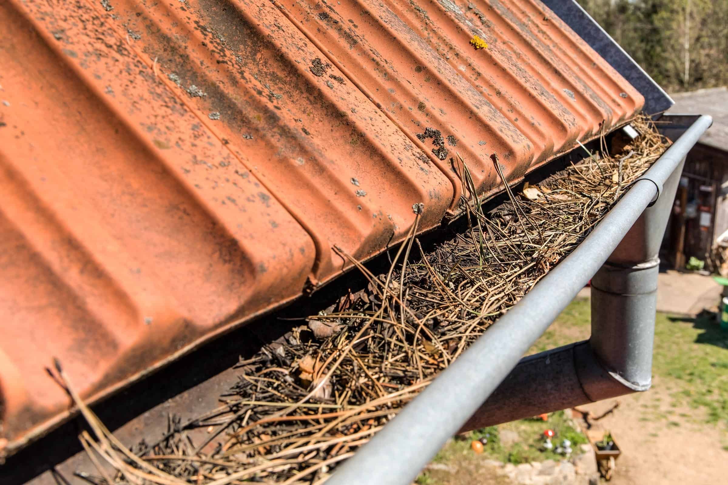 Gutter Cleaning & Brightening image