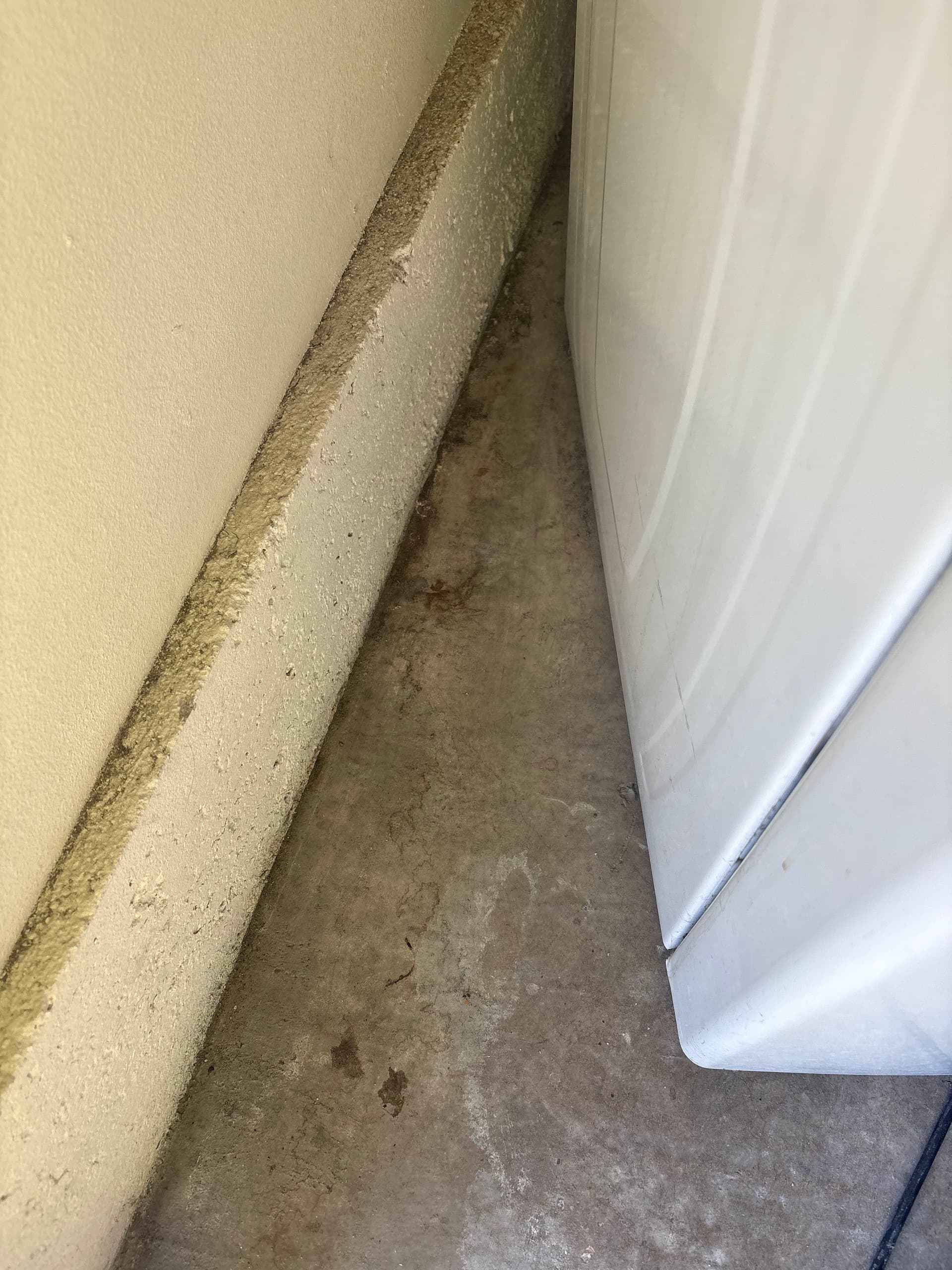 Gallery photos for Spotless Garages and Hidden Corners Cleaning: Image #6