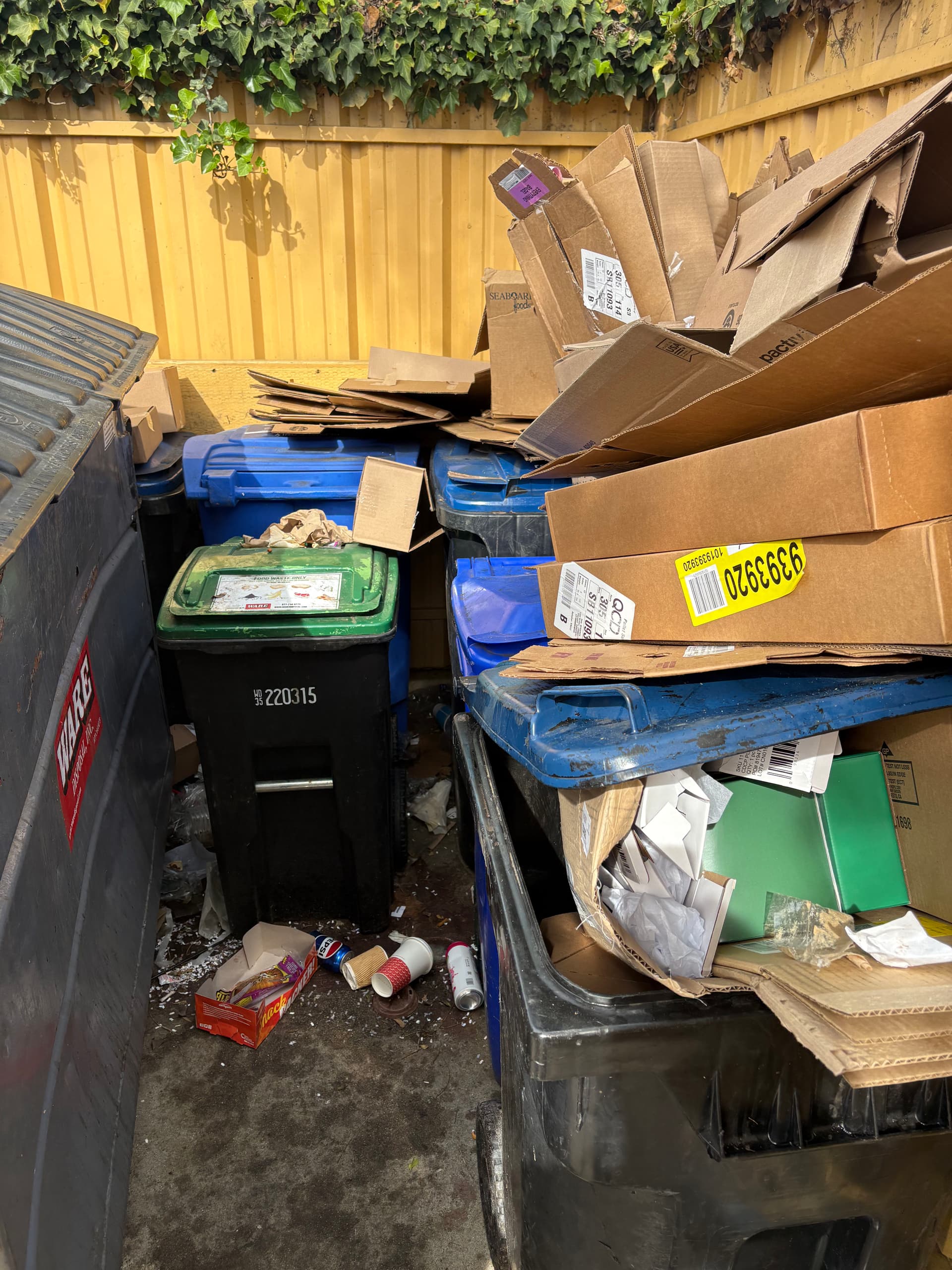 Gallery photos for Transforming Untidy Spaces with Expert Pressure Washing: Image #1