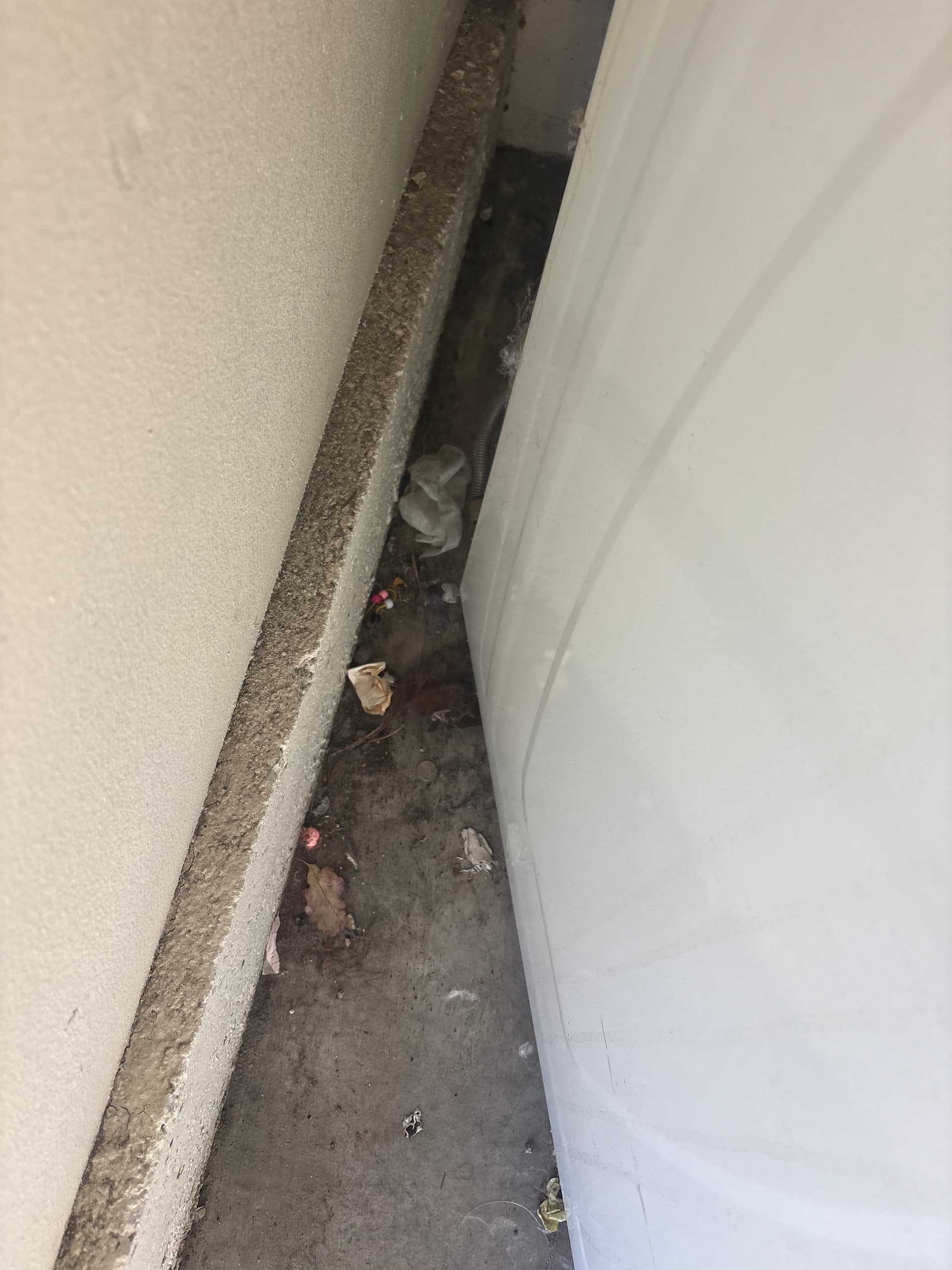 Gallery photos for Spotless Garages and Hidden Corners Cleaning: Image #7