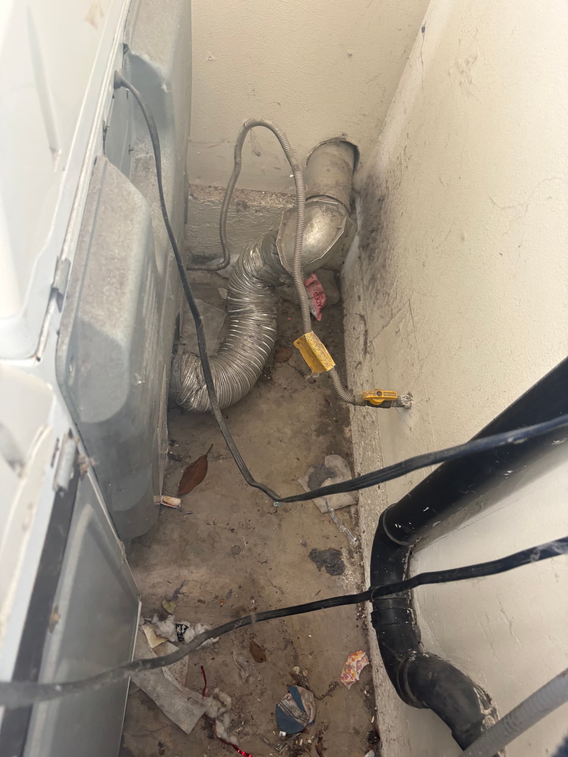 Gallery photos for Spotless Garages and Hidden Corners Cleaning: Image #2