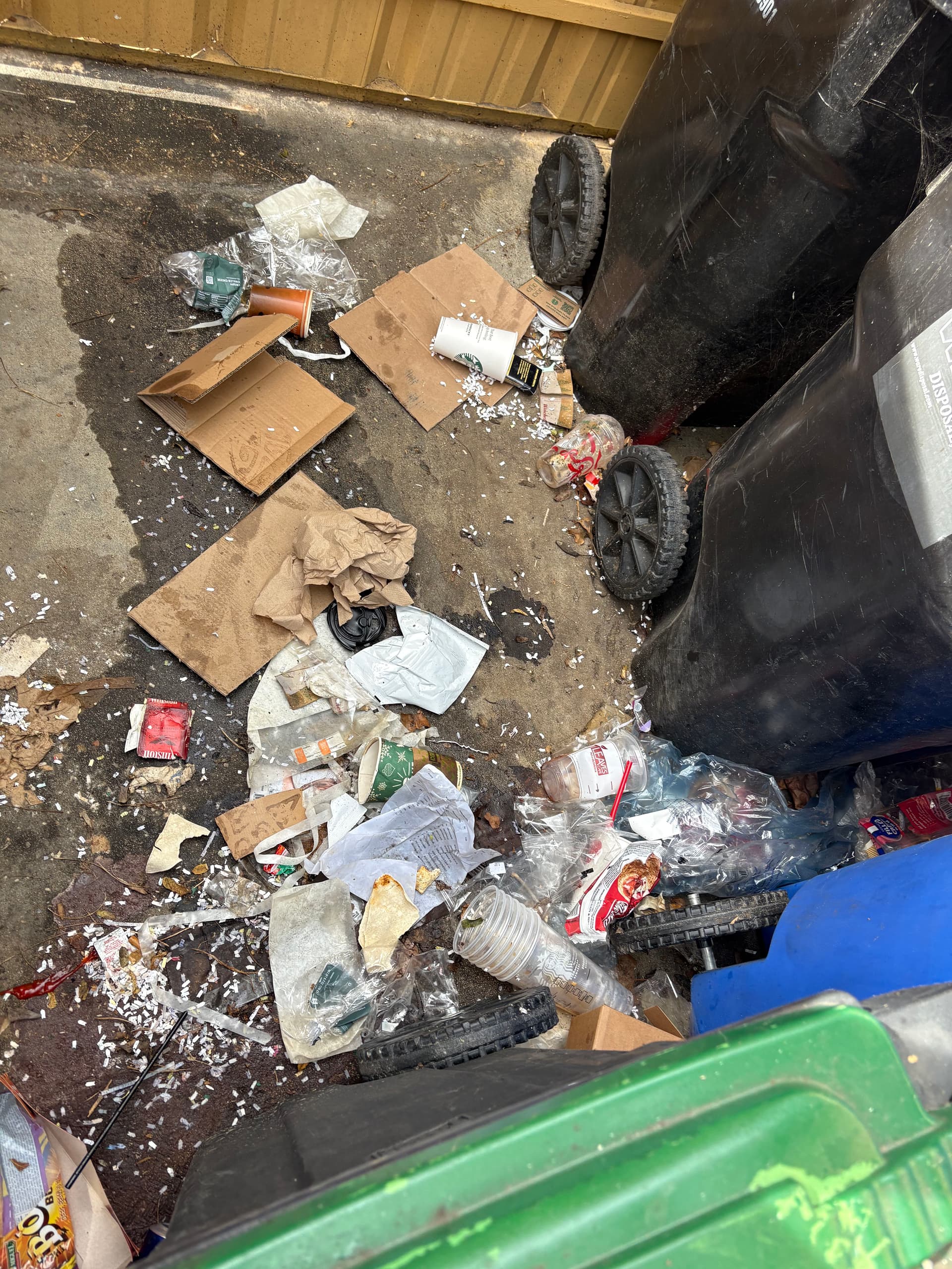 Transforming Untidy Spaces with Expert Pressure Washing image