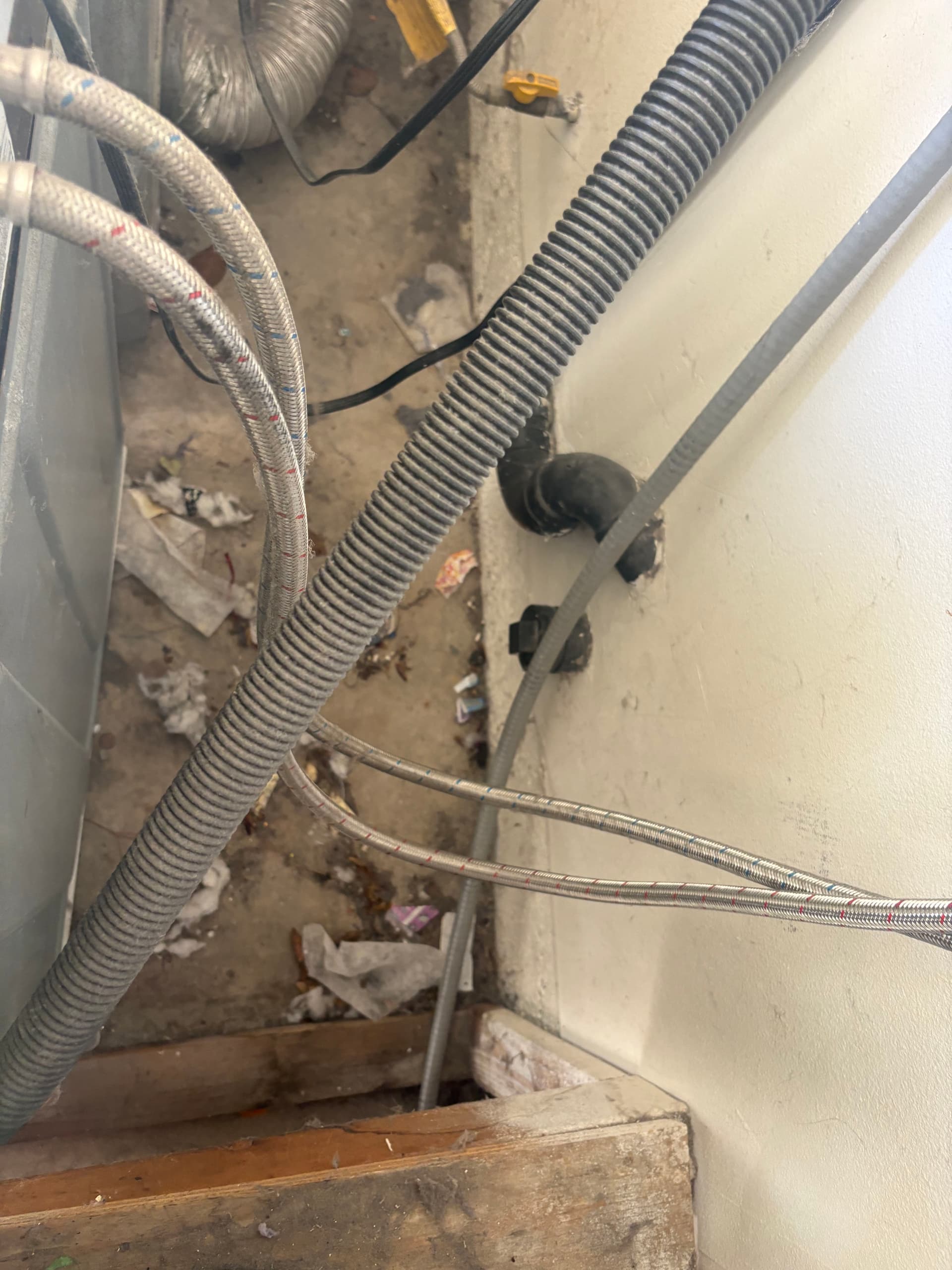 Gallery photos for Spotless Garages and Hidden Corners Cleaning: Image #1