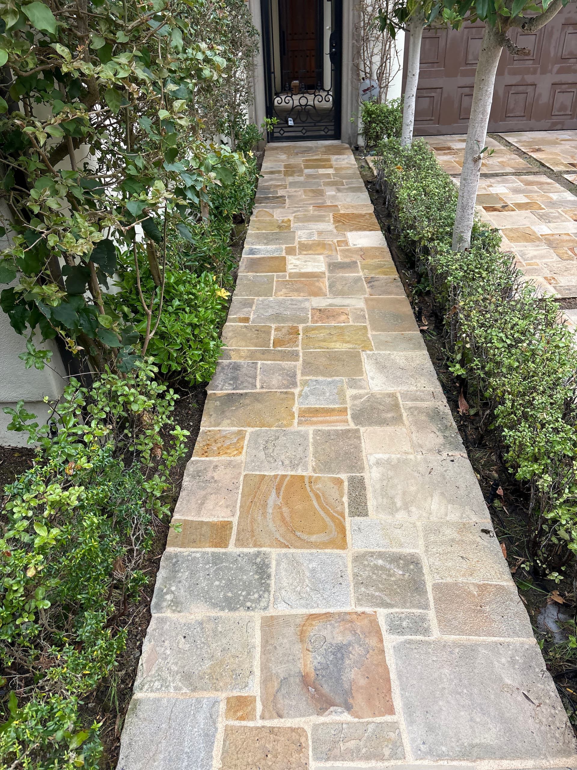 Gallery photos for Transforming Untidy Spaces with Expert Pressure Washing: Image #8
