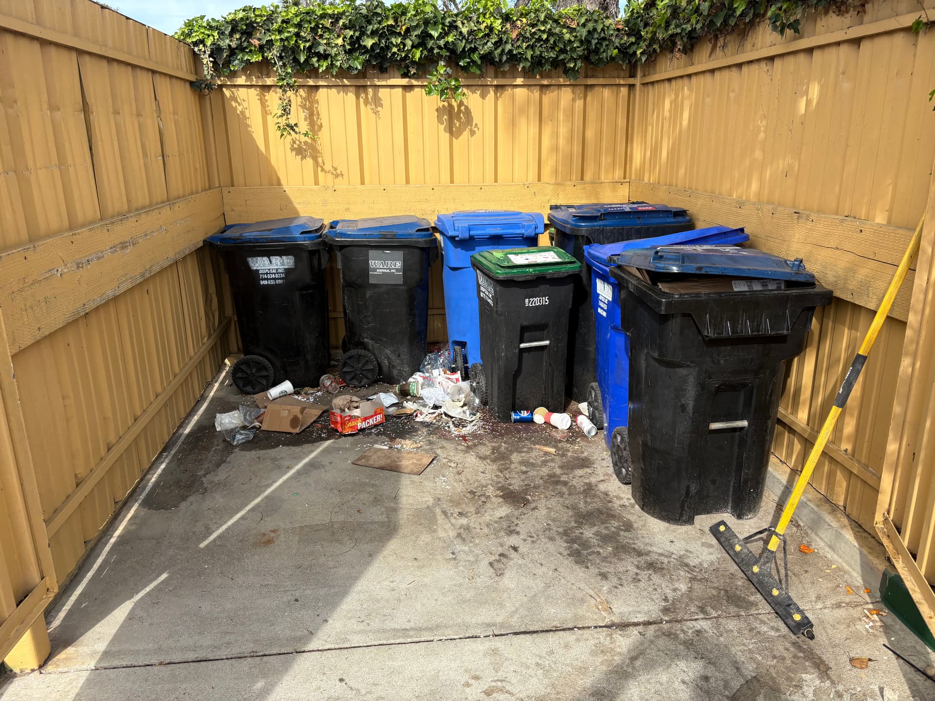 Gallery photos for Transforming Untidy Spaces with Expert Pressure Washing: Image #2