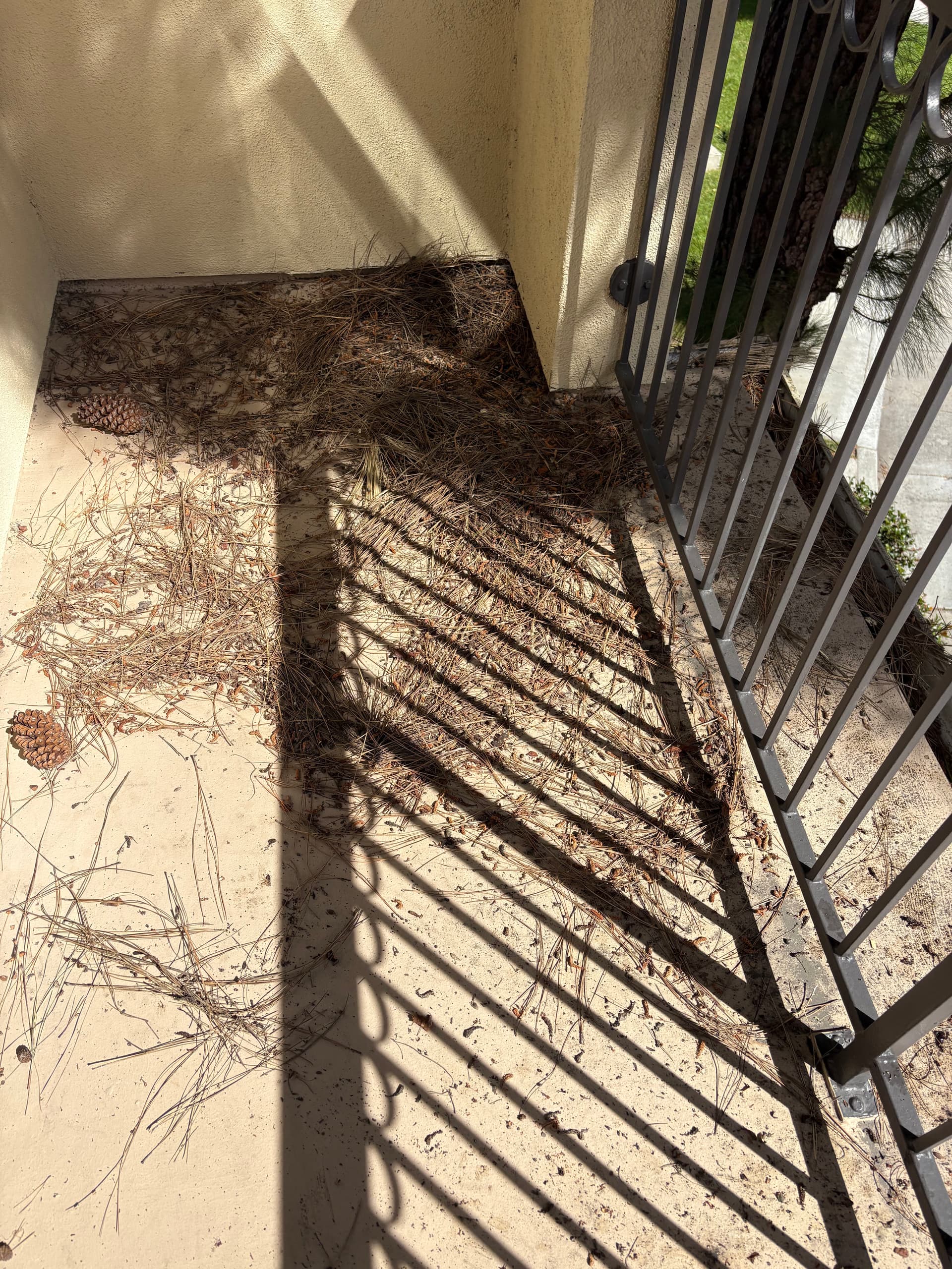 Gallery photos for Spotless Transformations with H2O Pressure Washing: Image #5