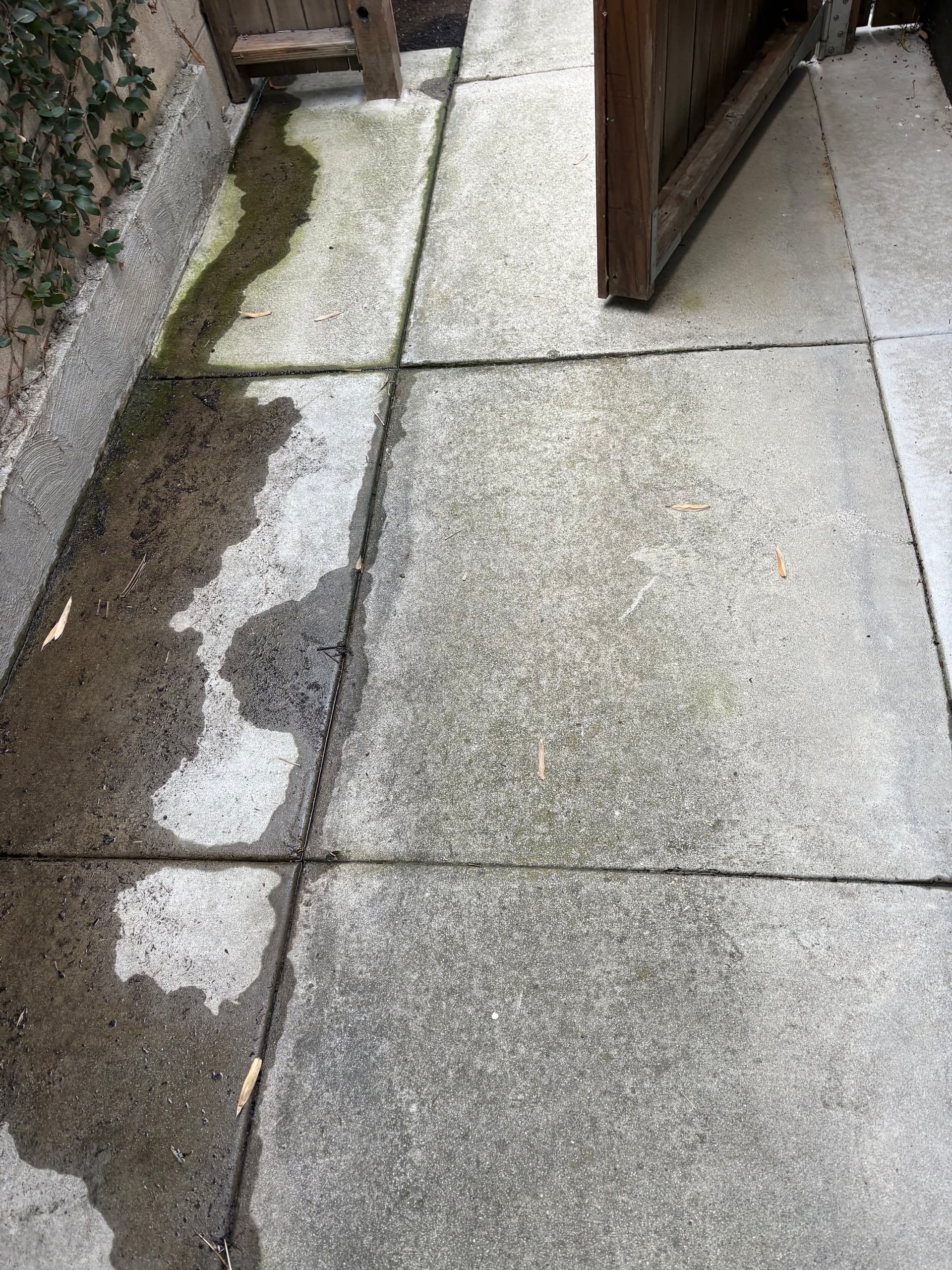 Gallery photos for Transform Your Home This Spring with H20 Pressure Washing By Gene: Image #4