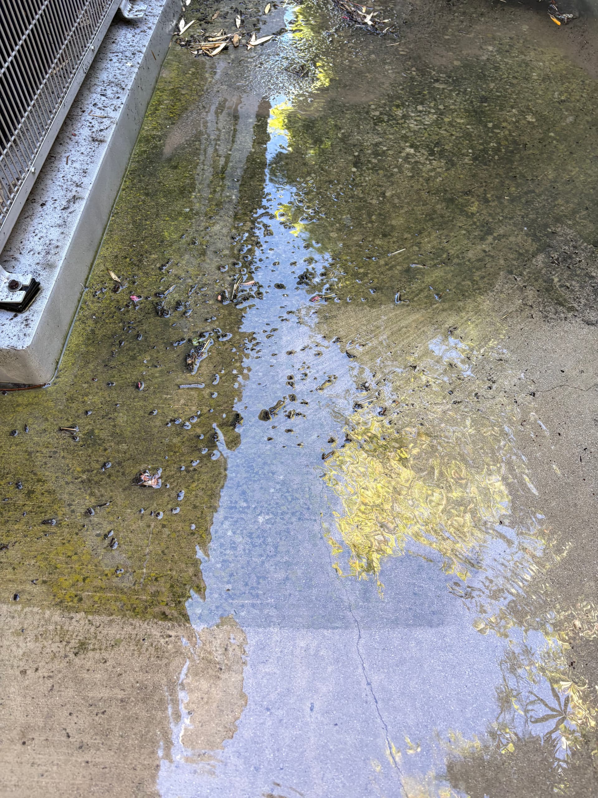 Transform Your Home This Spring with H20 Pressure Washing By Gene image